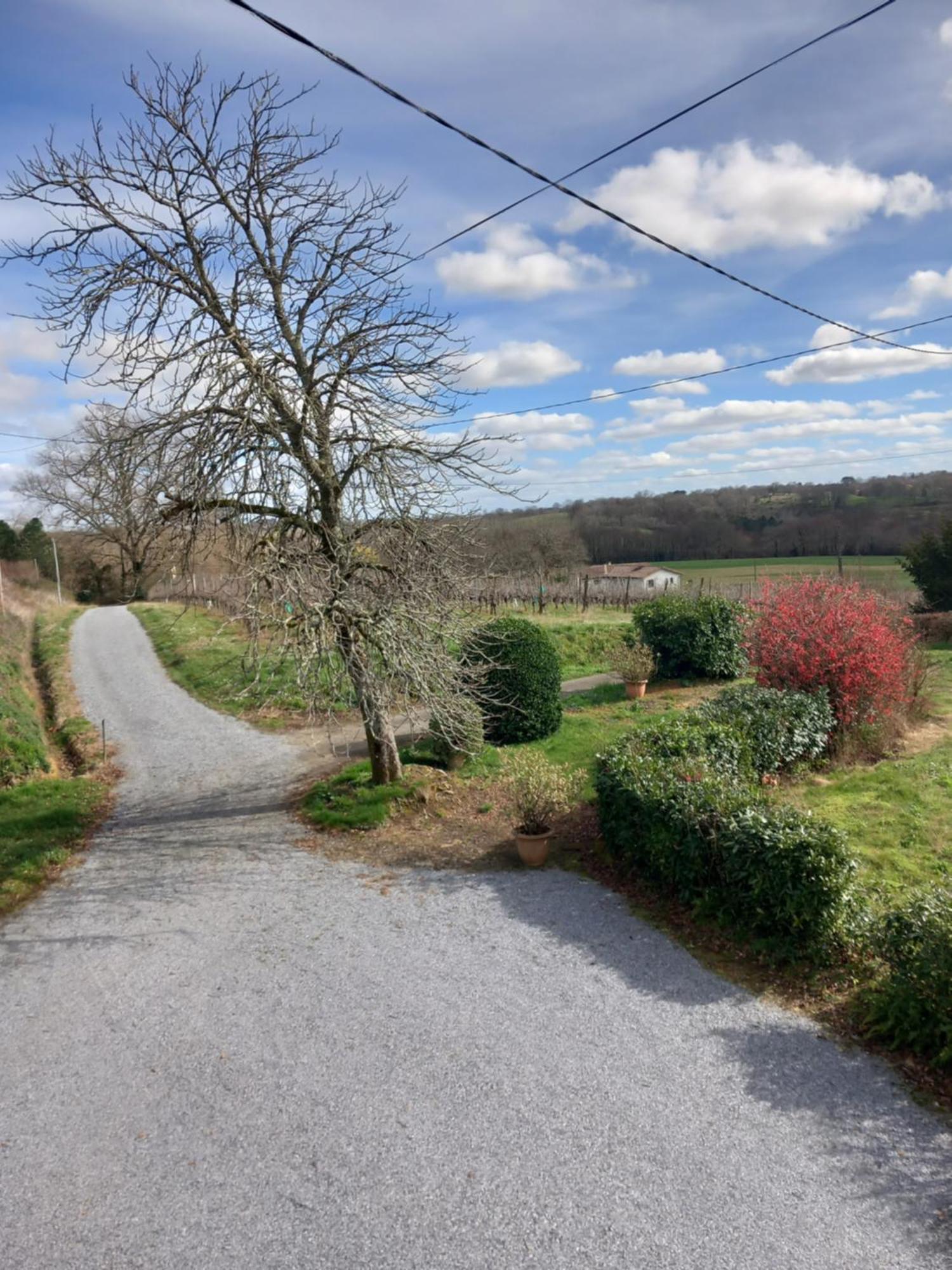 Maison De Campagne Les Chenes. Panjas 외부 사진